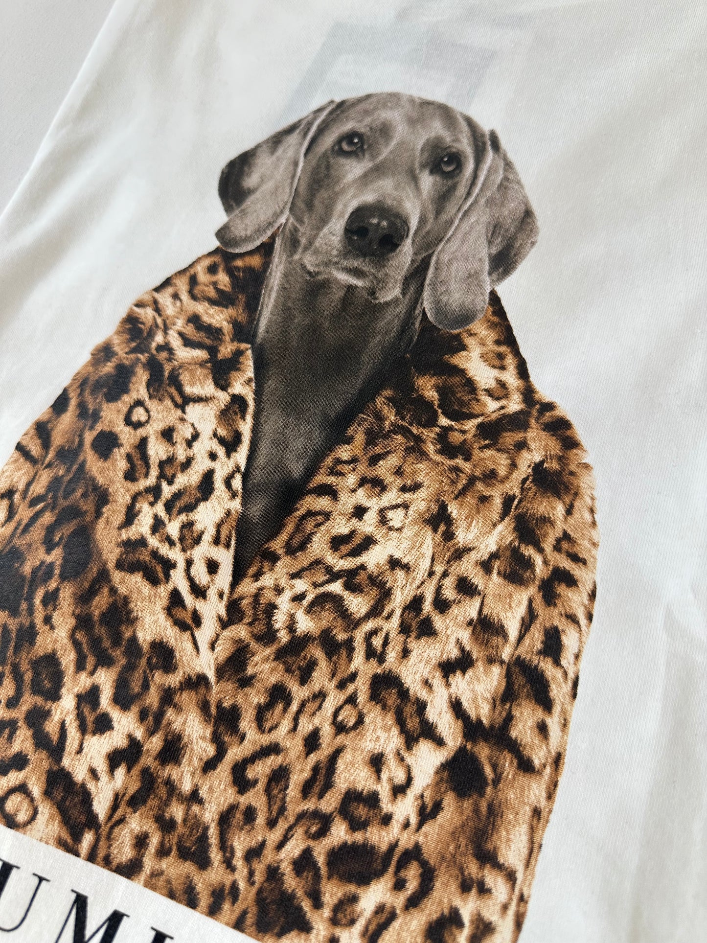 T-SHIRT LUMINA ANIMALI